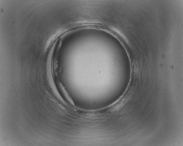 X0000076251357200610122155