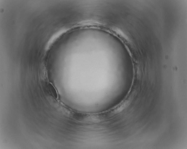 X0000076251358200610122155