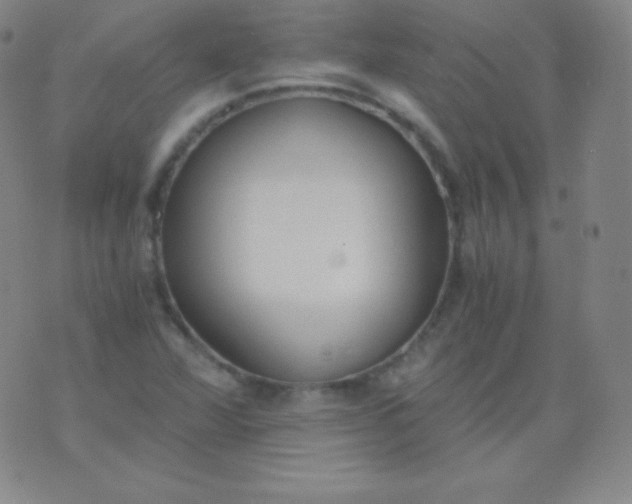 X0000076251360200610122155