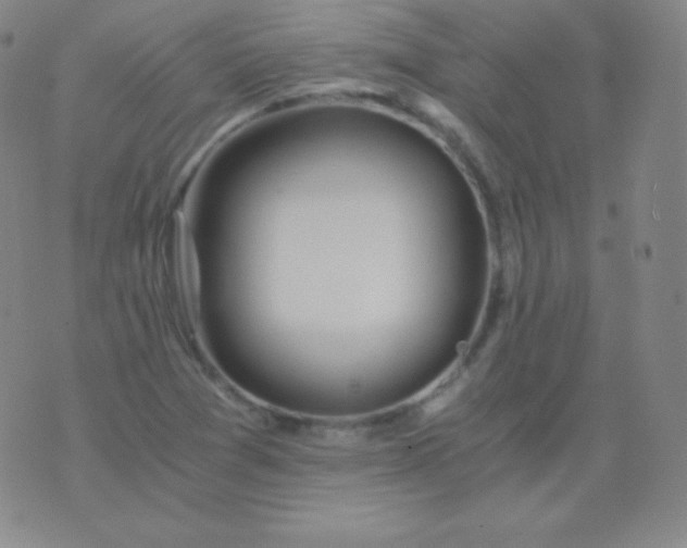 X0000076251361200610122155