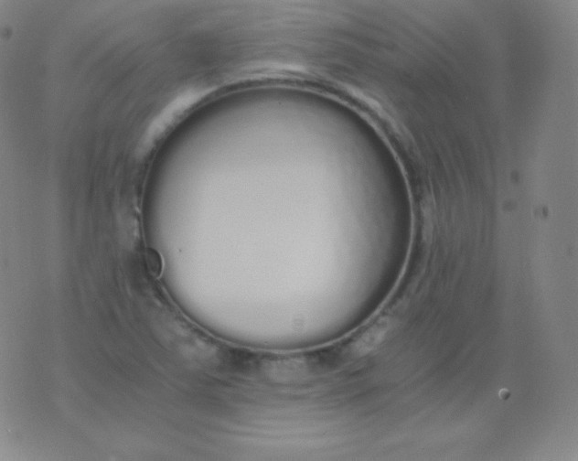 X0000076251363200610122155