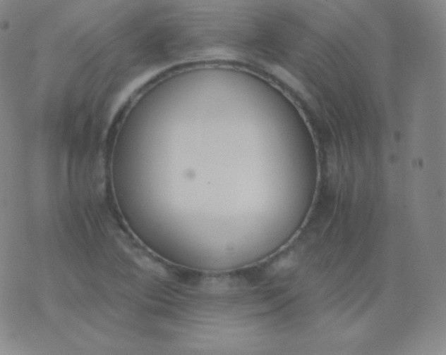 X0000076251364200610122155