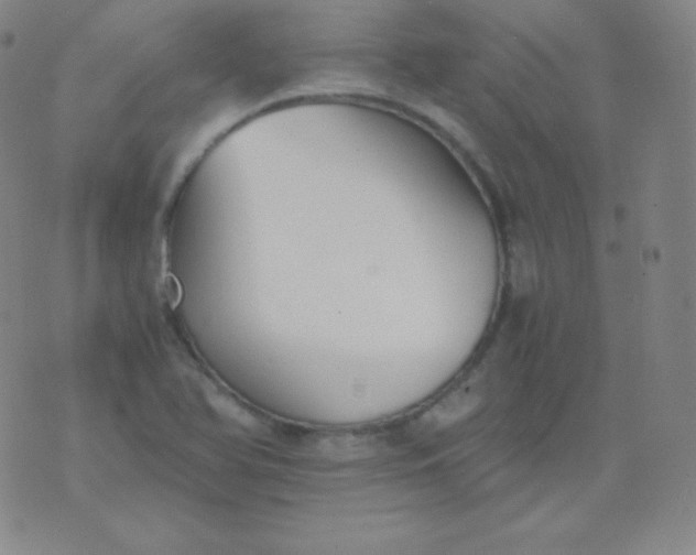 X0000076251366200610122155