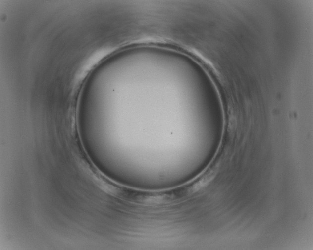 X0000076251367200610122155