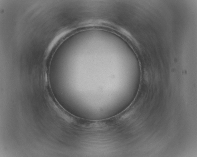 X0000076251368200610122155