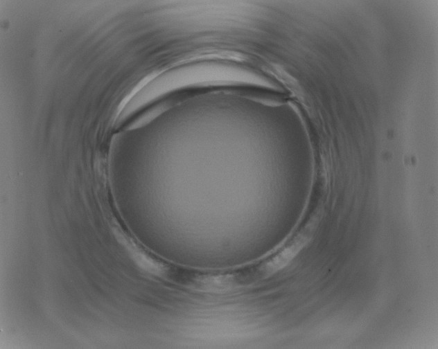 X0000076251369200610122155