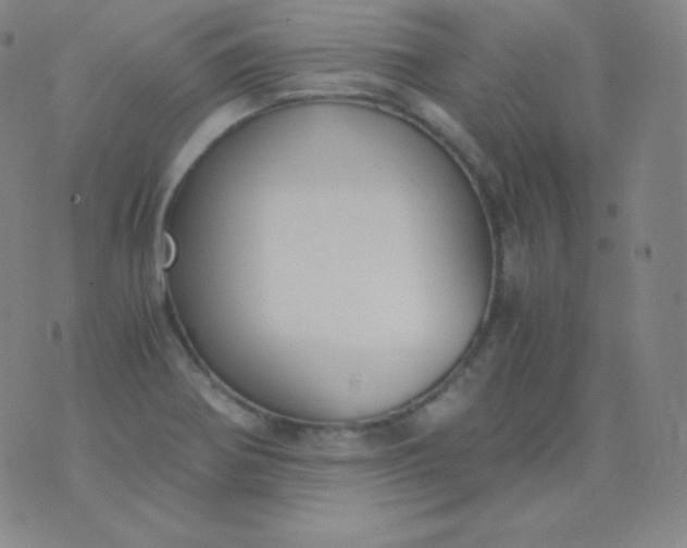 X0000076251370200610122155