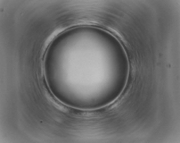 X0000076251371200610122155