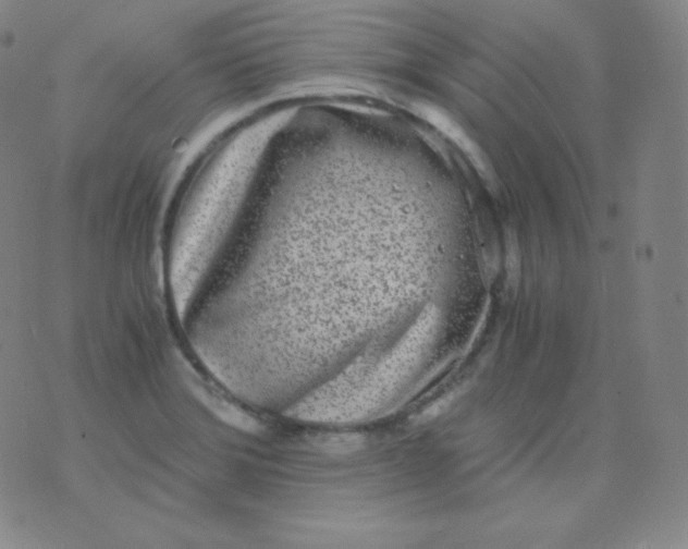 X0000076251372200610122155