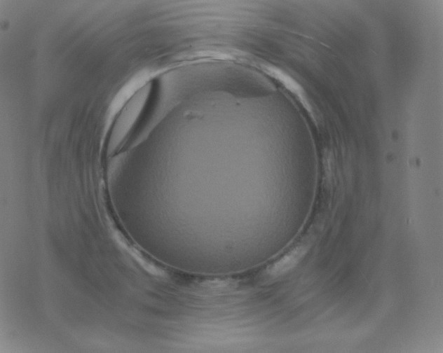 X0000076251373200610122154