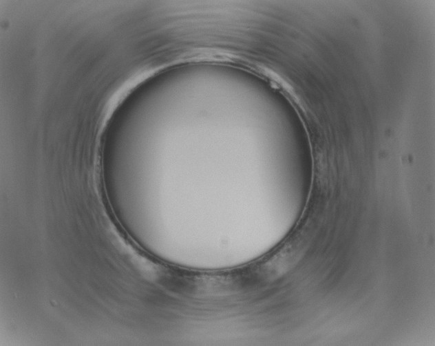 X0000076251379200610122154