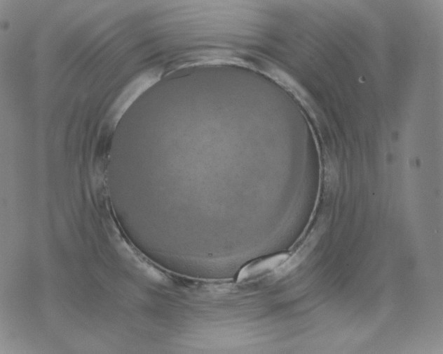 X0000076251385200610122154