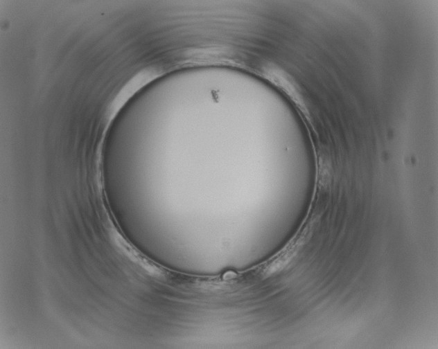 X0000076251386200610122154