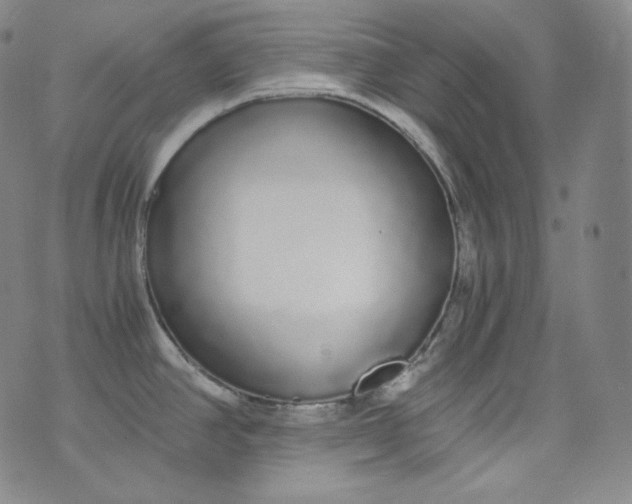 X0000076251390200610122154