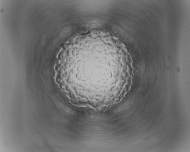 X0000076251393200610122153