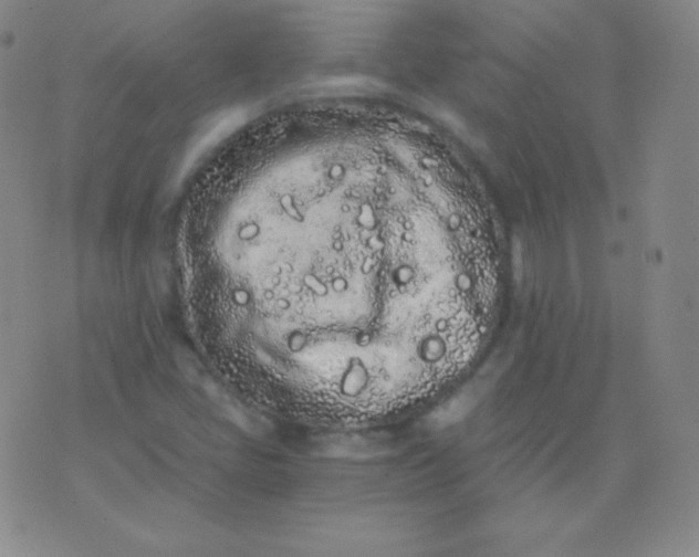 X0000076251405200610122154