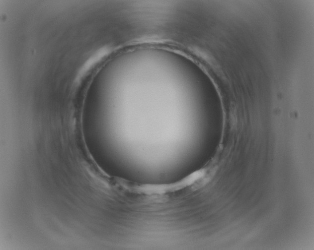 X0000076251406200610122154