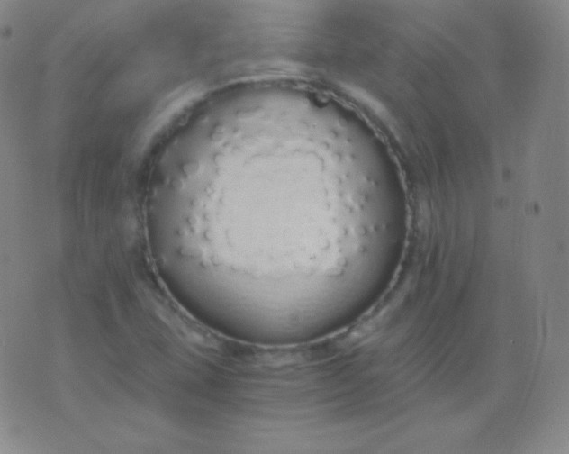 X0000076251407200610122154