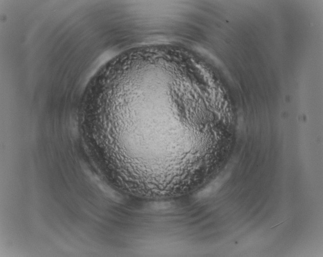 X0000076251409200610122154