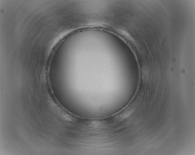 X0000076251412200610122154