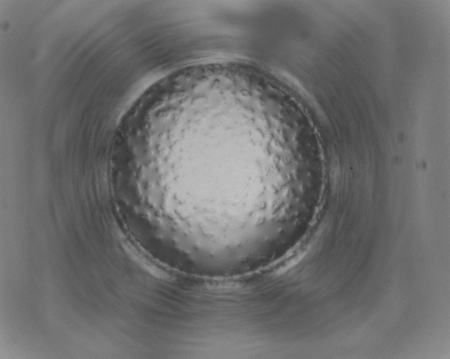 X0000076251417200610122154