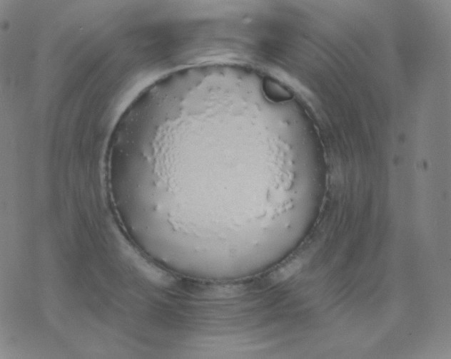 X0000076251423200610122154