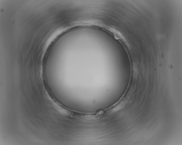 X0000076251424200610122154