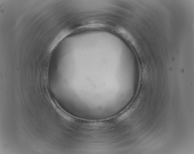 X0000076251425200610122154