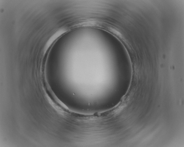 X0000076251426200610122154