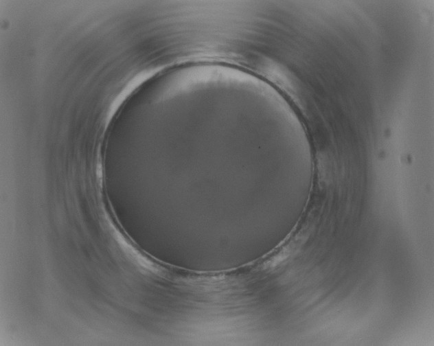 X0000076251428200610122154