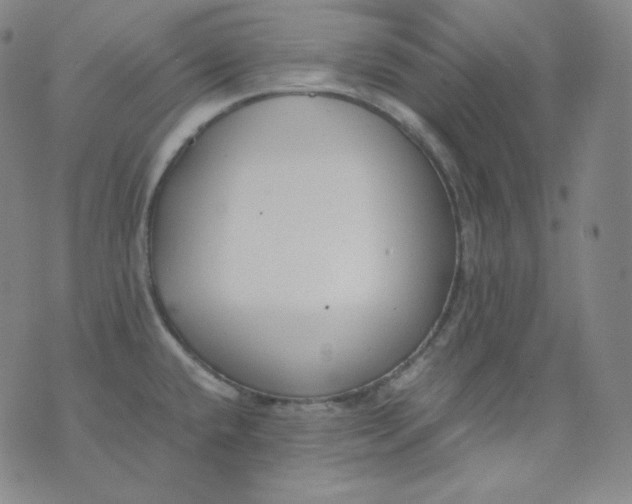 X0000076251432200610122154