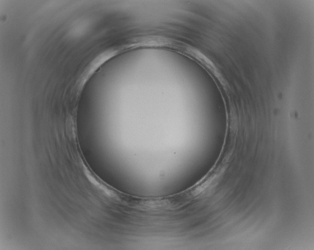 X0000076251433200610122154