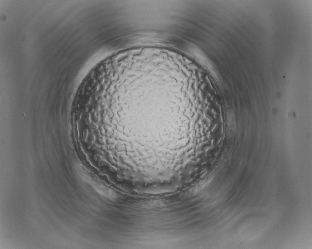 X0000076251435200610122154