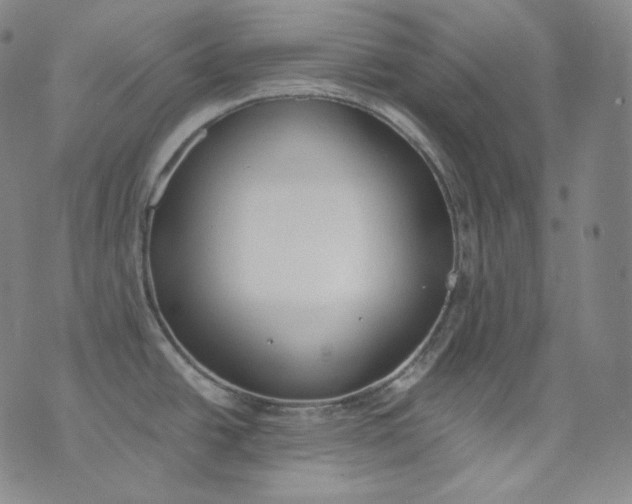 X0000076251438200610122154