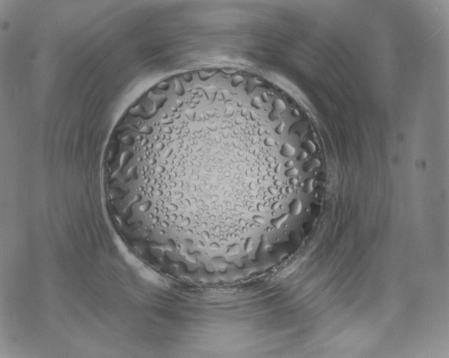 X0000076251439200610122154