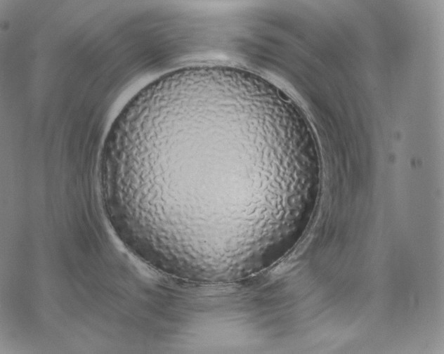 X0000076251440200610122154