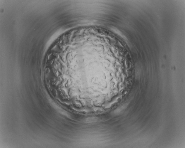 X0000076251467200610122153