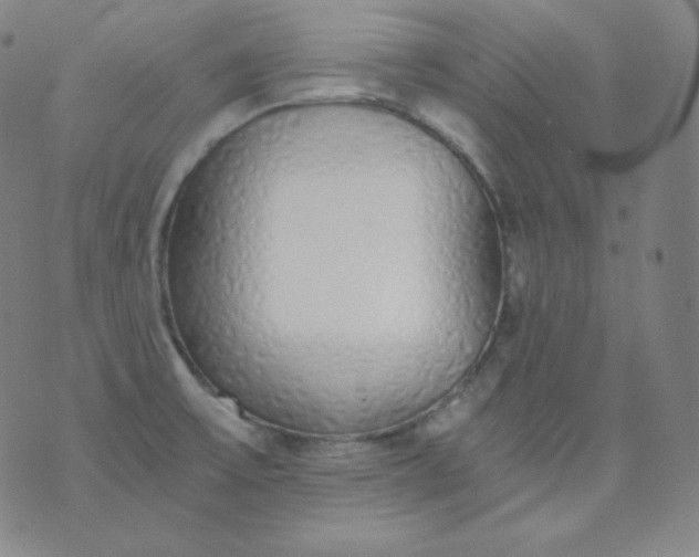 X0000076251475200610122153