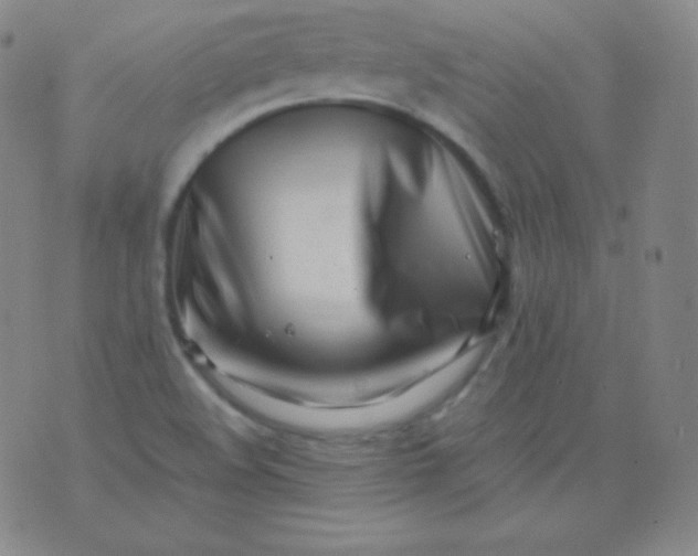 X0000076251508200610122152