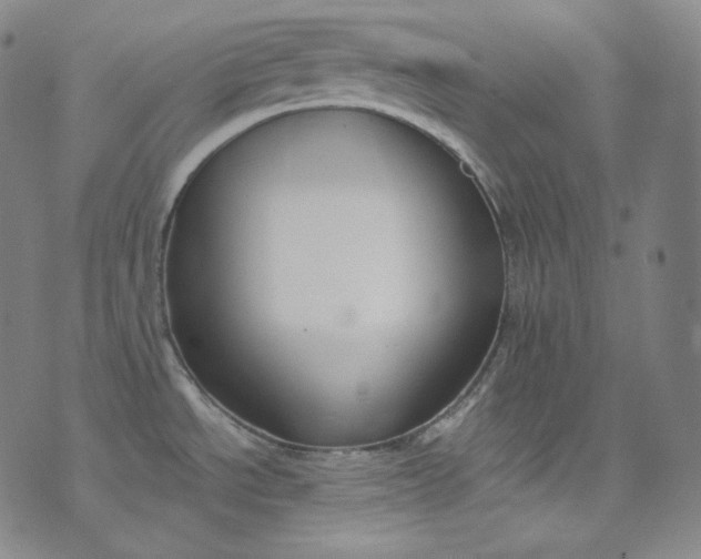 X0000076251534200610122153