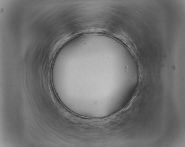 X0000076250001200610191700