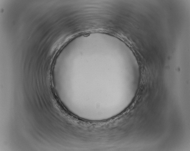 X0000076250002200610191700