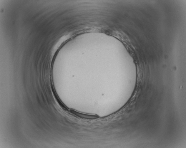 X0000076250003200610191700