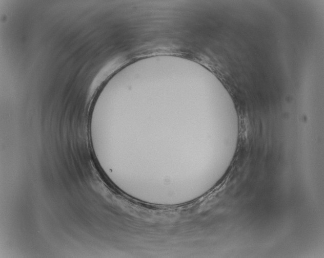 X0000076250004200610191700