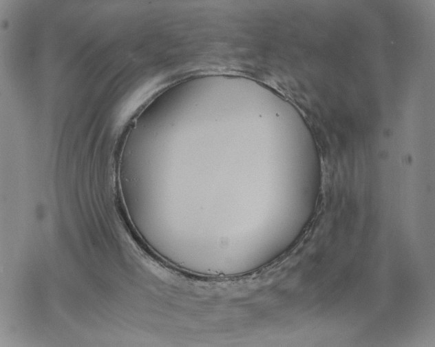 X0000076250005200610191700