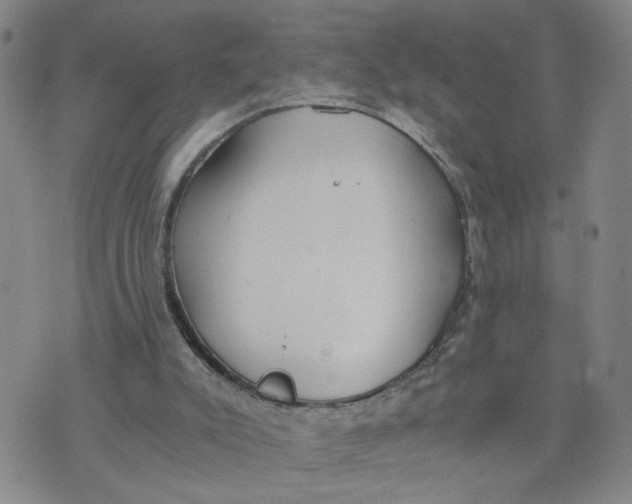 X0000076250007200610191700