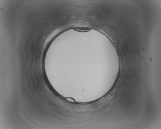 X0000076250008200610191700