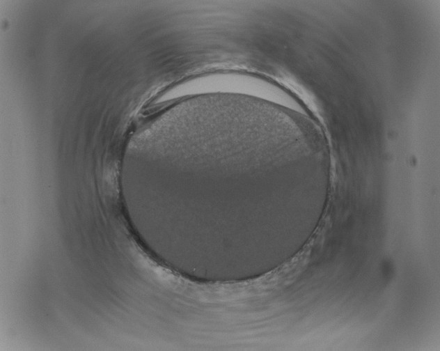 X0000076250009200610191700