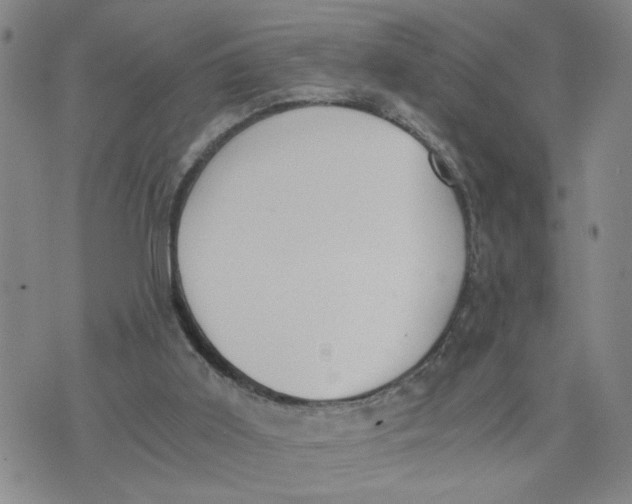 X0000076250011200610191700