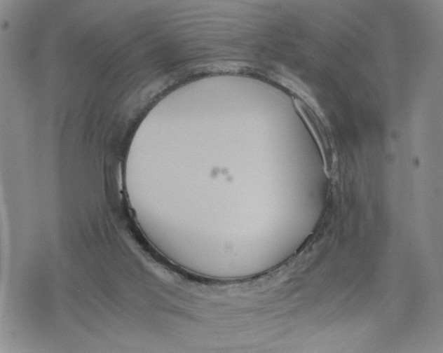 X0000076250013200610191700